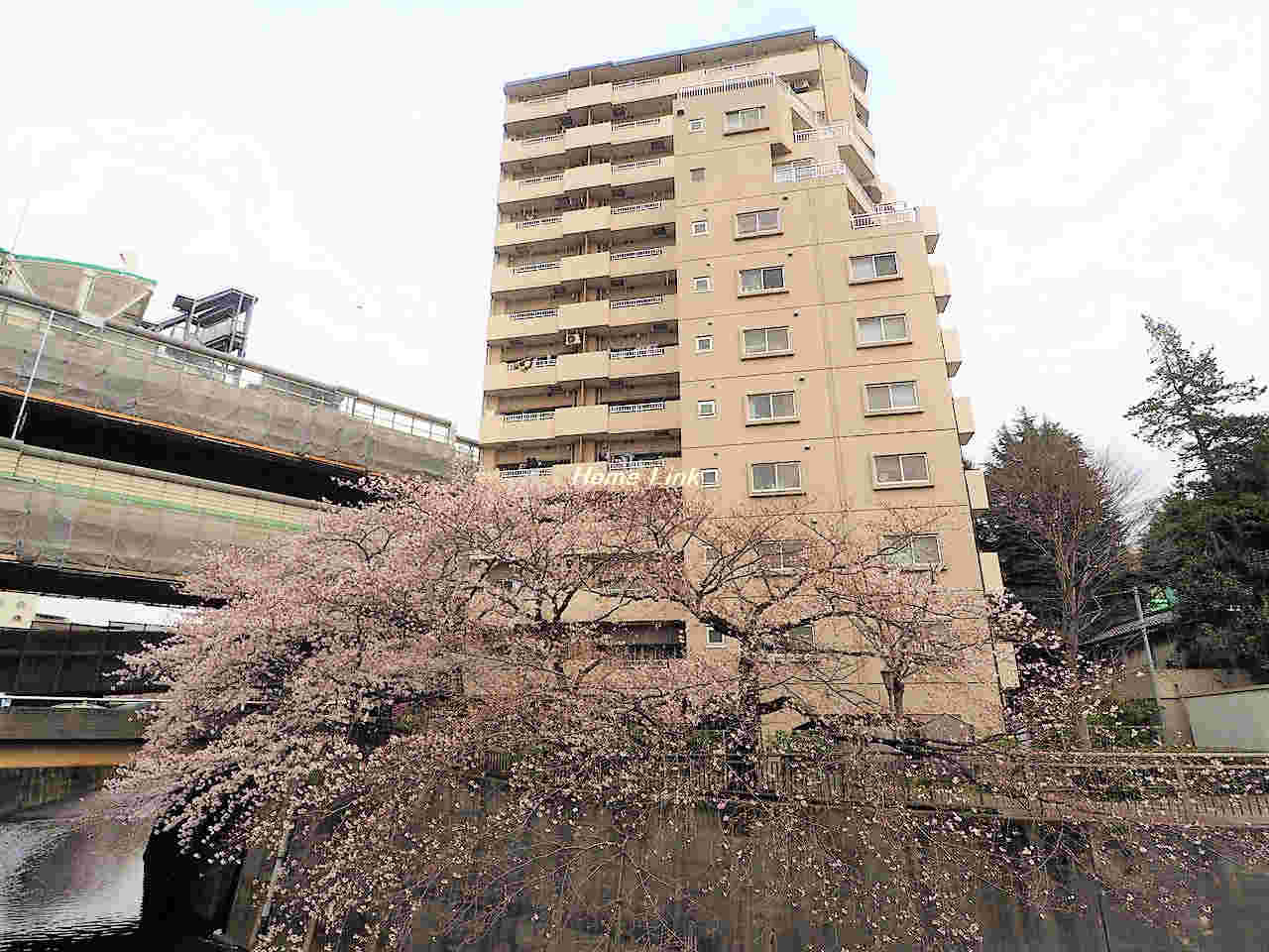 パラスト新板橋