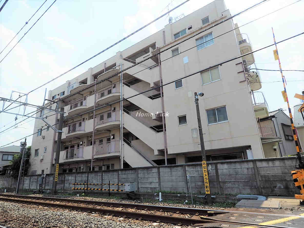 グリーン赤塚