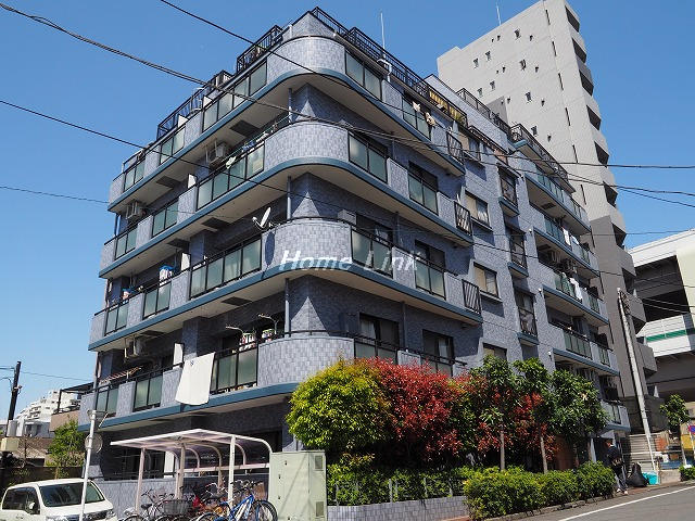 セザール板橋