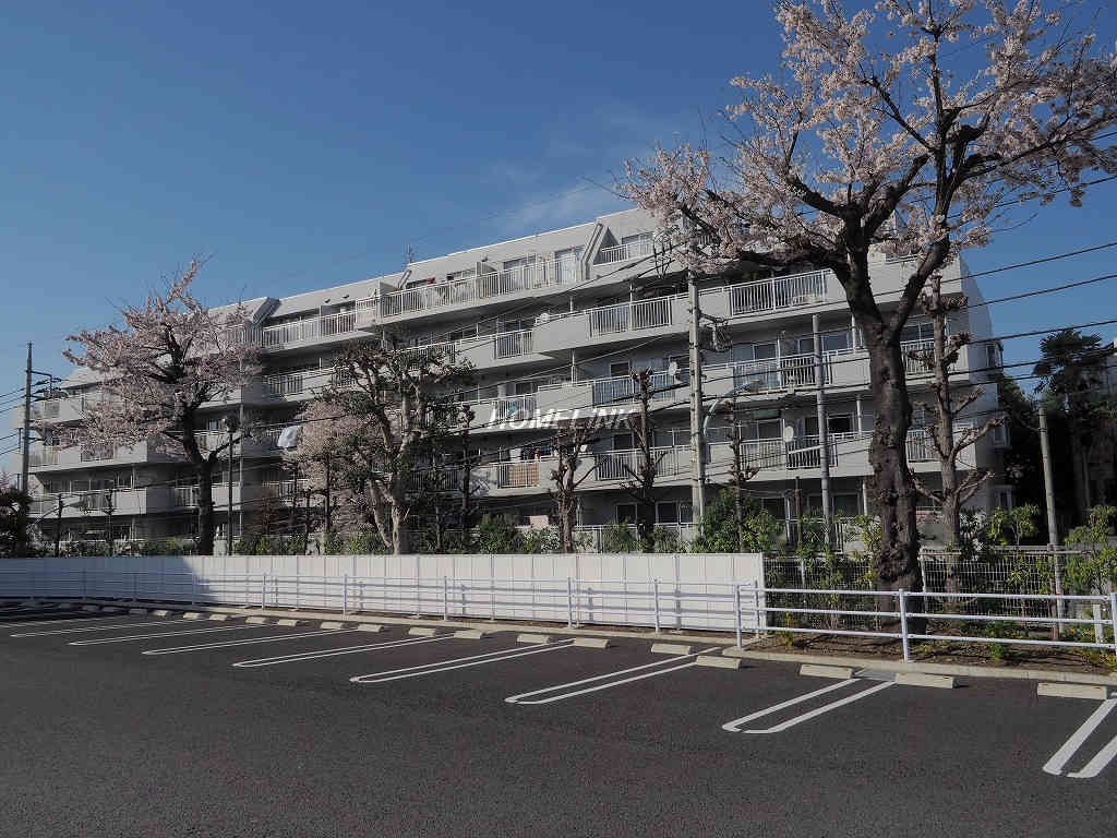 東急ドエルアルス志村坂上