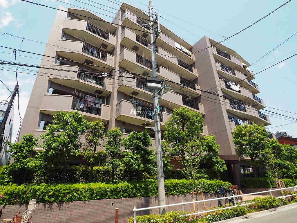 ソフィア板橋徳丸