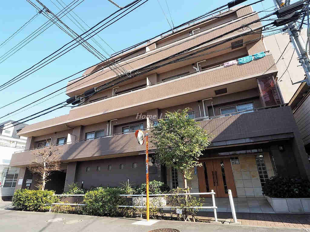 マートルコート板橋泉