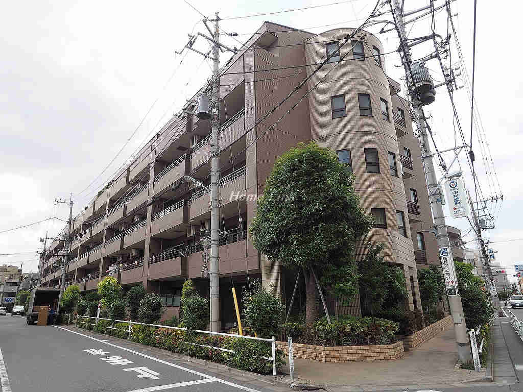 ルイシャトレ東武練馬ルミエール