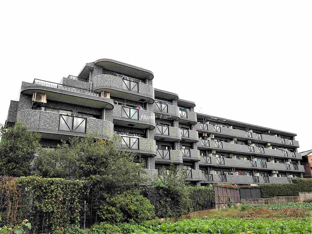ライオンズヒルズ成増
