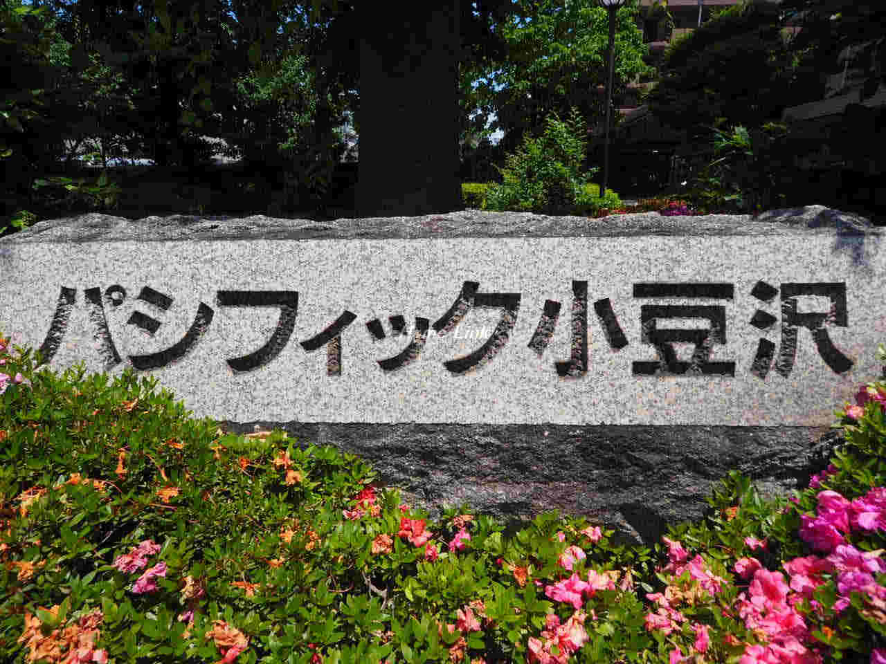 パシフィック小豆沢_画像2