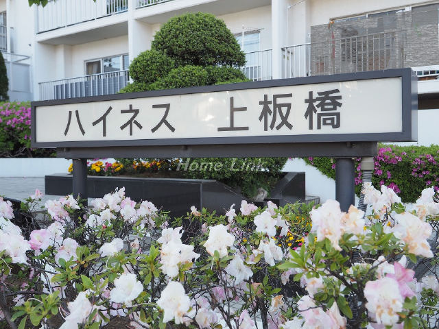 ハイネス上板橋_画像2