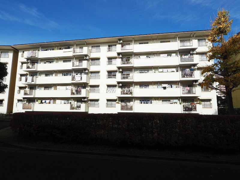 高島平第2住宅 9号棟_画像2