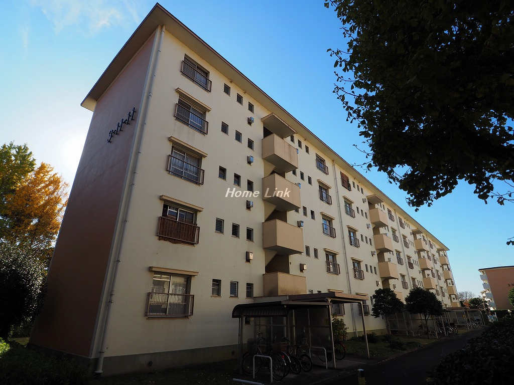 高島平第2住宅 11号棟_画像2