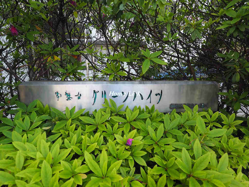 常盤台グリーンハイツ_画像3