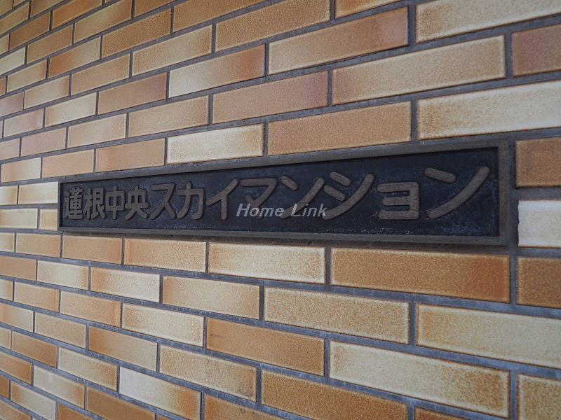 蓮根中央スカイマンション_画像3