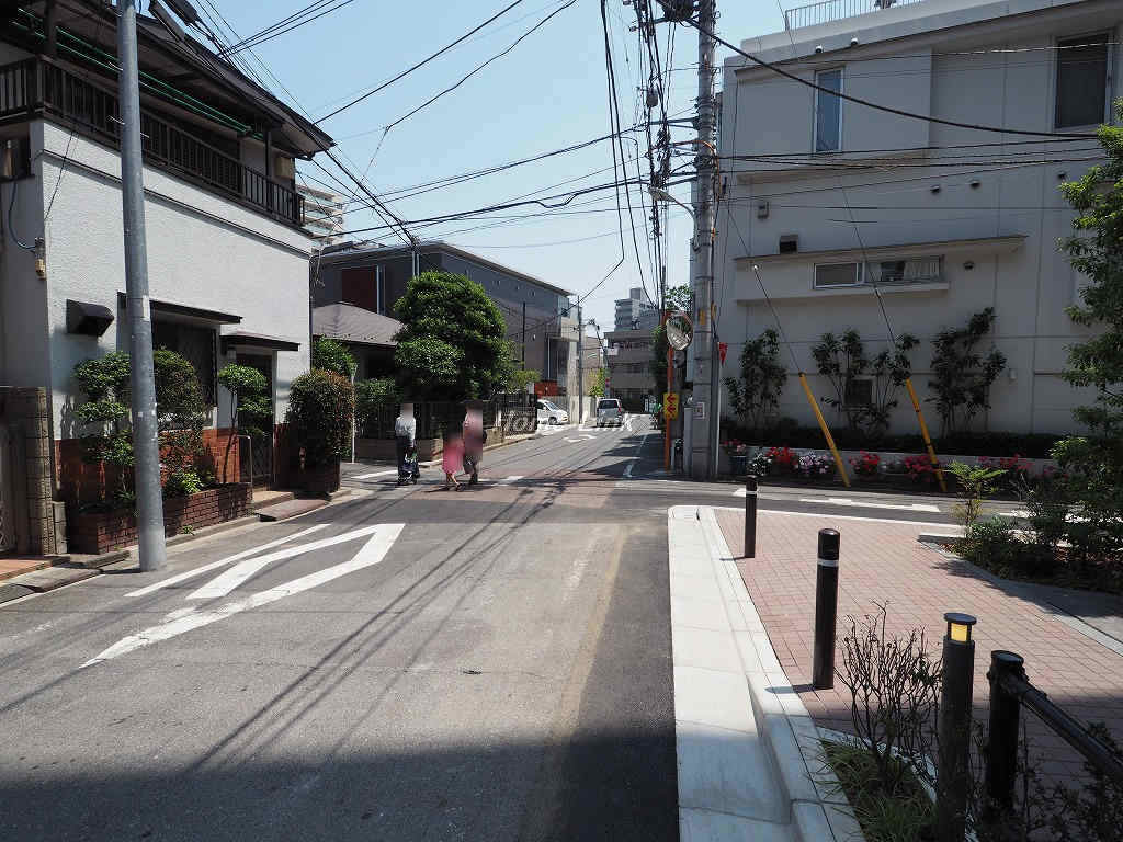 アデニウム大山町_画像3