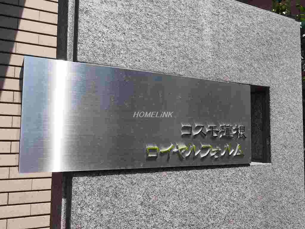 コスモ蓮根ロイヤルフォルム_画像3
