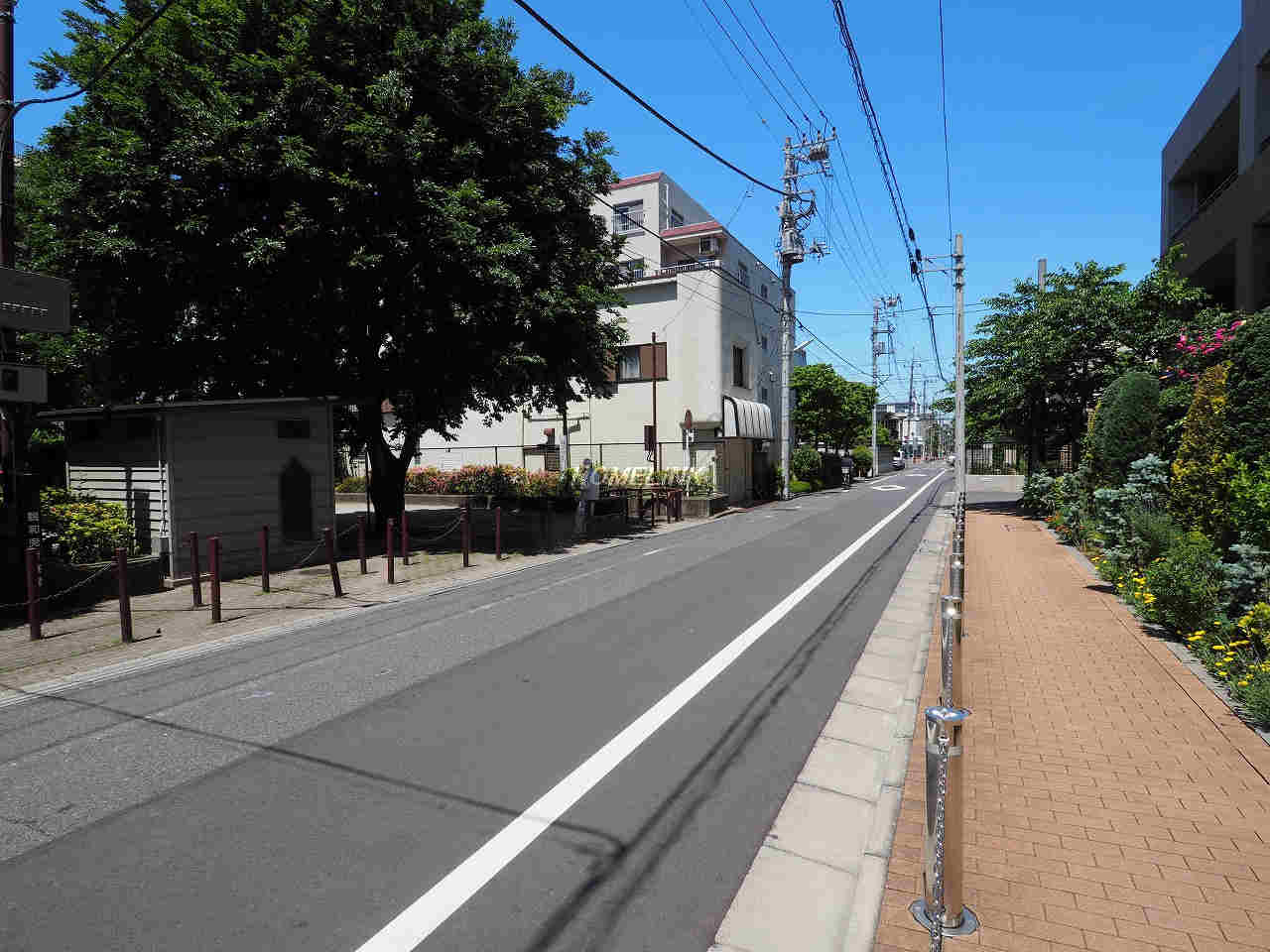 パークハウス志村三丁目ステーションアリーナ_画像3