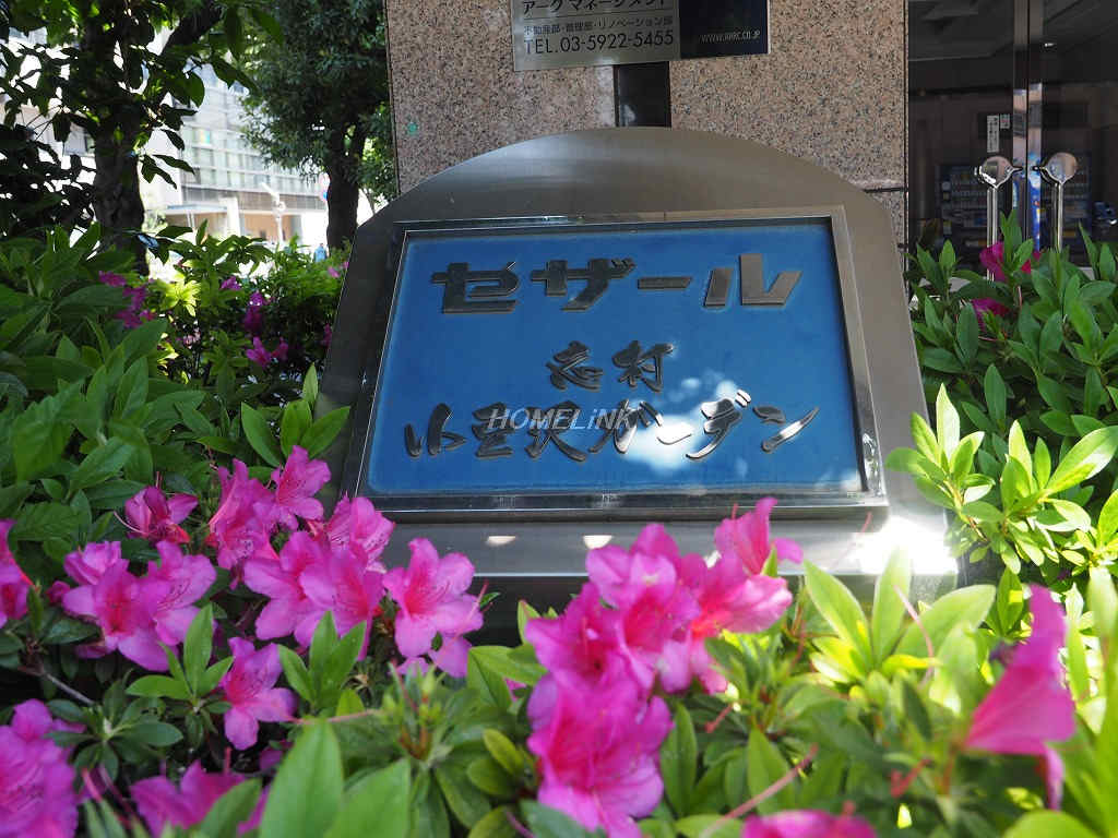 セザール志村小豆沢ガーデン_画像3