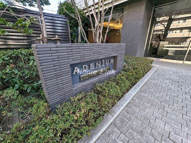 アデニウム志村ブルームフォート_画像3