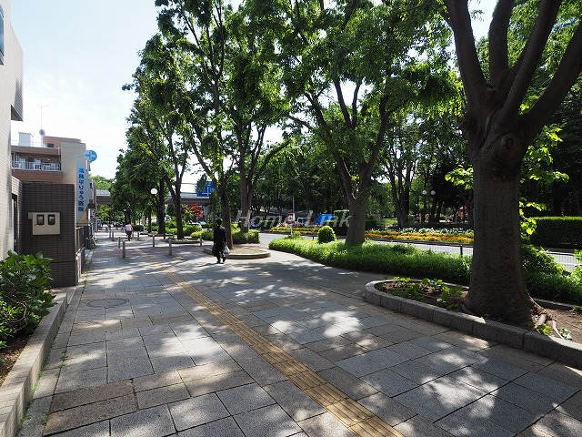 赤塚公園パークホームズ_画像4