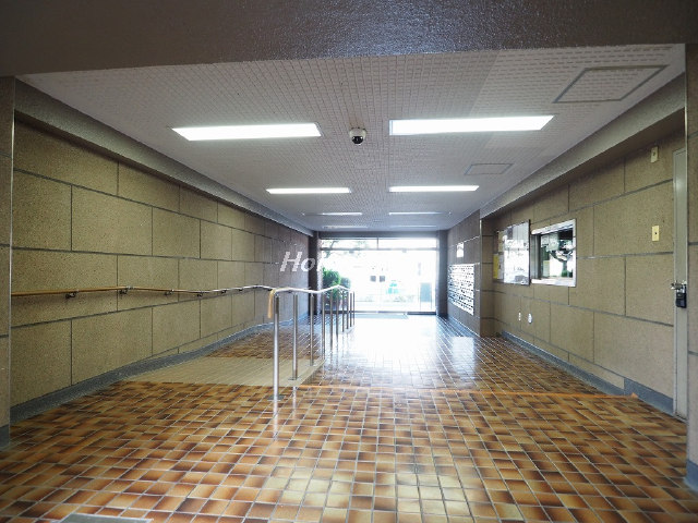 蓮根サンパワー_画像4