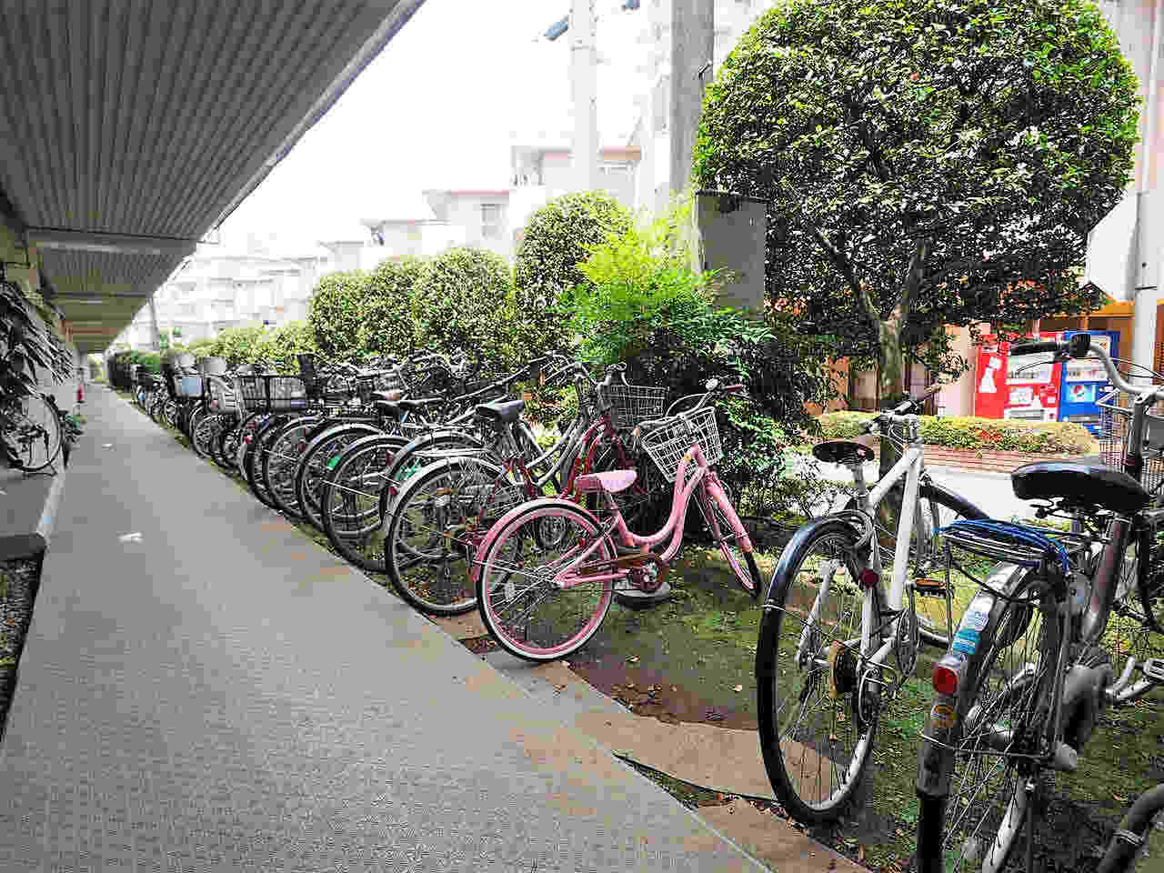 第2上板橋サンライトマンション C棟_画像4