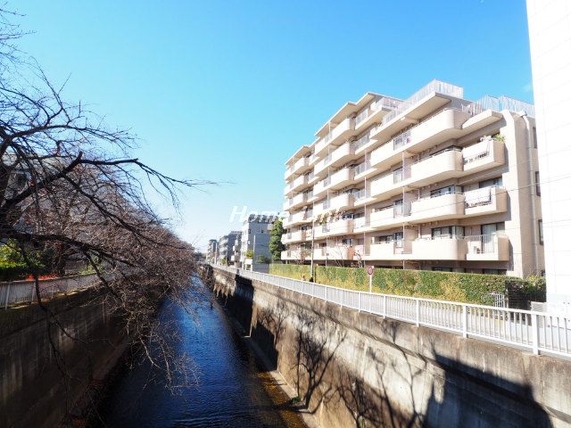氷川台ハイム_画像5