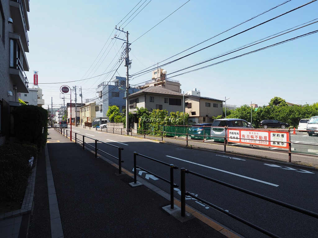 キャニオングランデ蓮根_画像5