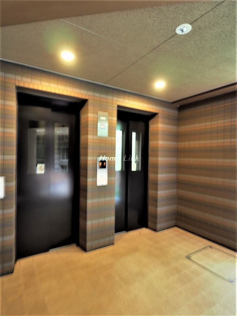 アデニウム和光_画像5