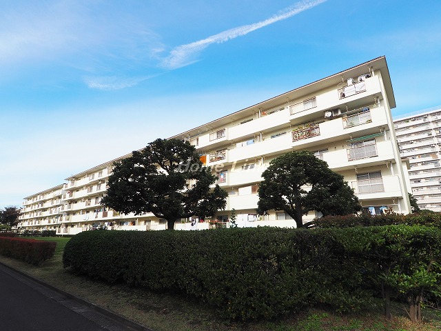 高島平第2住宅 6号棟_画像5