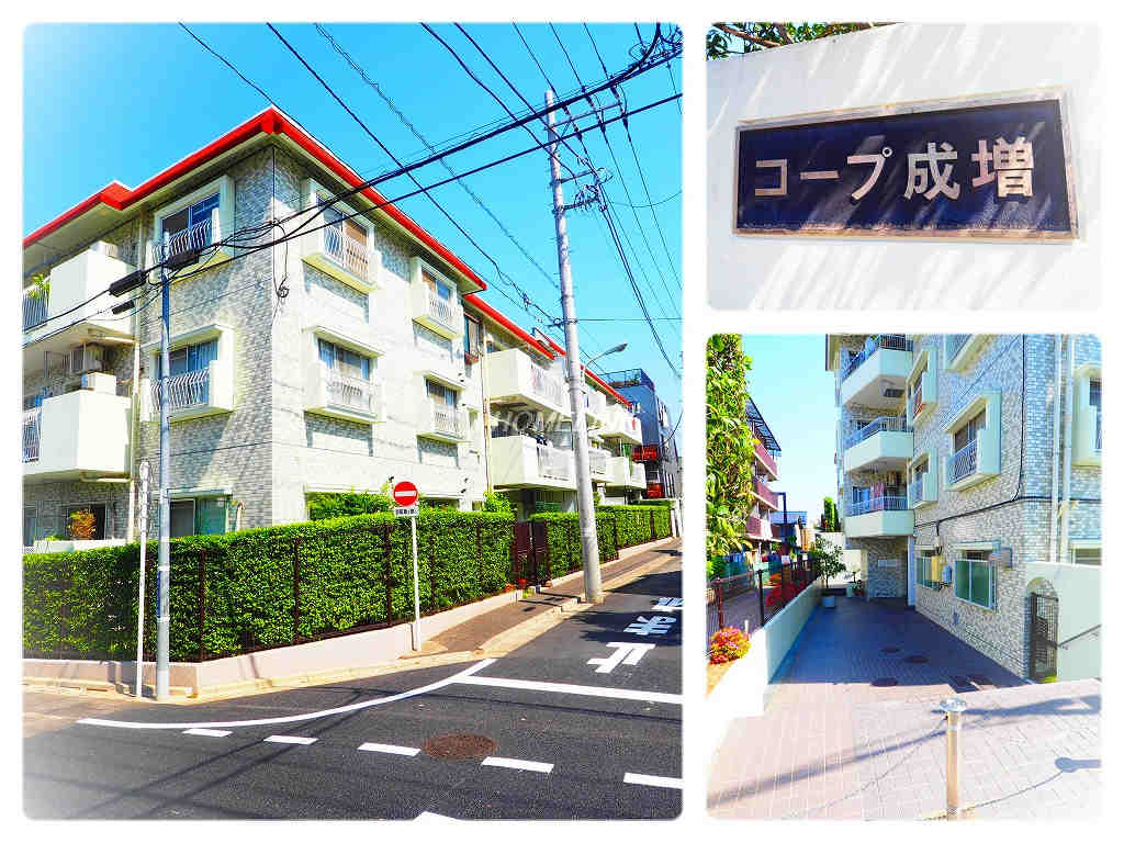 コープ成増_画像5