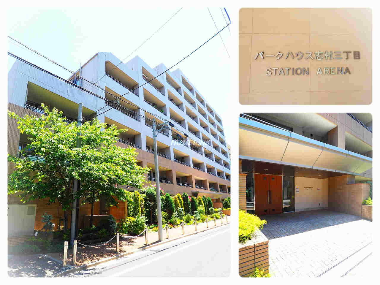 パークハウス志村三丁目ステーションアリーナ_画像5