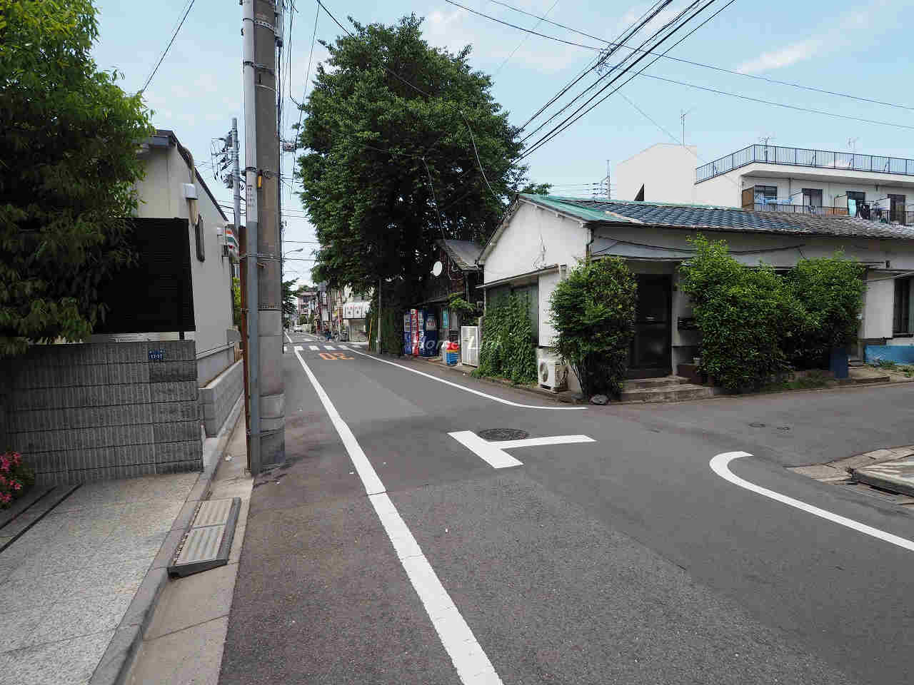 シャリエ志村三丁目_画像5