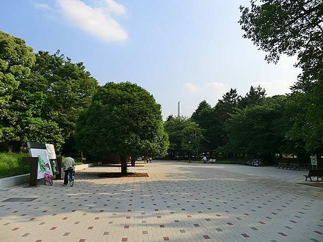 光が丘公園