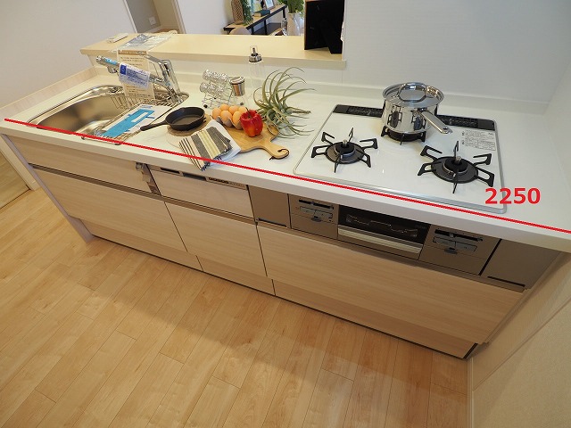 デュオ成増サザンテラス　キッチンサイズ　3口コンロ　食器洗浄機