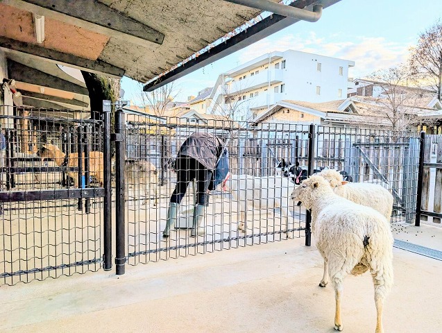 板橋こども動物園