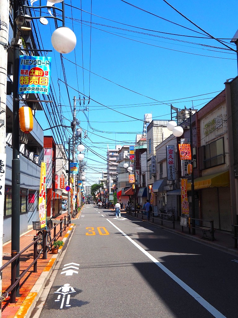 蓮根中央商店街（ハミングロード）